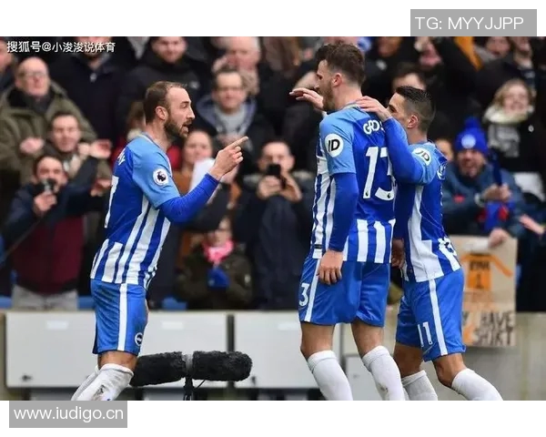 英超收官：布莱顿与诺维奇的保级生死局