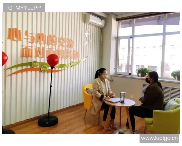 裁判在比赛中情绪管理的理论探讨与实践应用研究